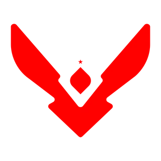 Team Vision